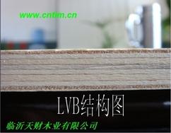 临沂生产CARBP2漂白杨木面底LVB顺向胶合板