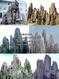 武汉做塑石塑树设计制作-湖北塑石 塑树品种样式