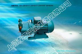 SZ系列水环式真空泵(泵与电机为直连式)