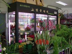 鲜花保鲜柜|鲜花展示柜|鲜花冷柜|上海鲜花冷藏柜