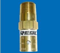 美国REGO低温安全阀RPV9432T
