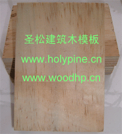 圣松牌建筑模板,松木水泥模板,水泥混凝土立模胶合板
