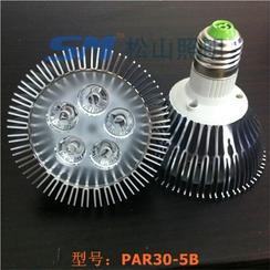 LED灯杯PAR30-5