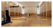 专业比赛馆运动木地板厂家 篮球地板