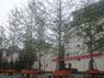 贺：江苏省徐州市景态园林工程有限公司;网站开通上线 
