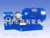 KCB 2CY油泵/齿轮泵/齿轮油泵/润滑油泵/柴油泵/铜轮泵