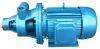 漩涡泵:1W型单级漩涡泵