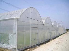 防虫网、蔬菜防虫网