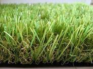 供应广东人造草坪地毯-仿真草坪