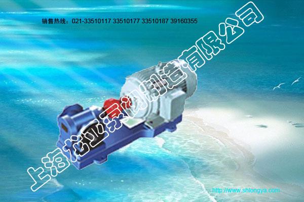 2CY型齿轮式润滑泵(润滑油泵)