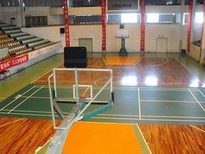 篮球PVC塑胶运动地垫地毯