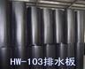沪望HW-103（H10）专业绿化塑料排水板