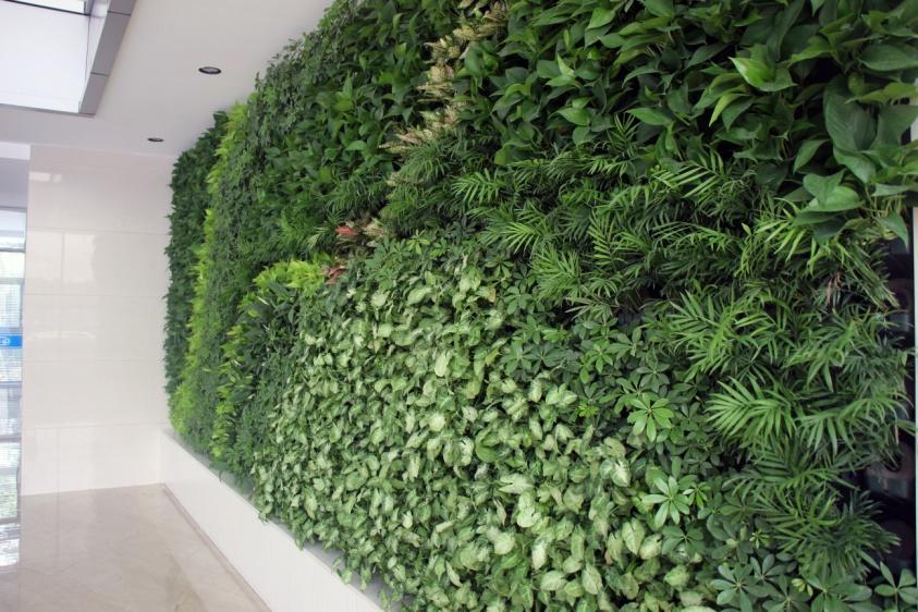 植物墙设计施工