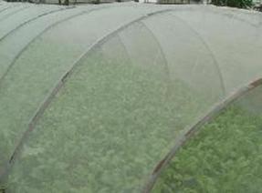 东莞温室大棚蔬菜防虫网|广东防虫网价格|珠海哪里生产防虫网