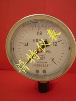 YTN100耐震压力表、充油压力表、0.4级精密耐震压力表厂家