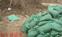 植生袋护坡公司，护坡植生袋绿化用途大，出草率高