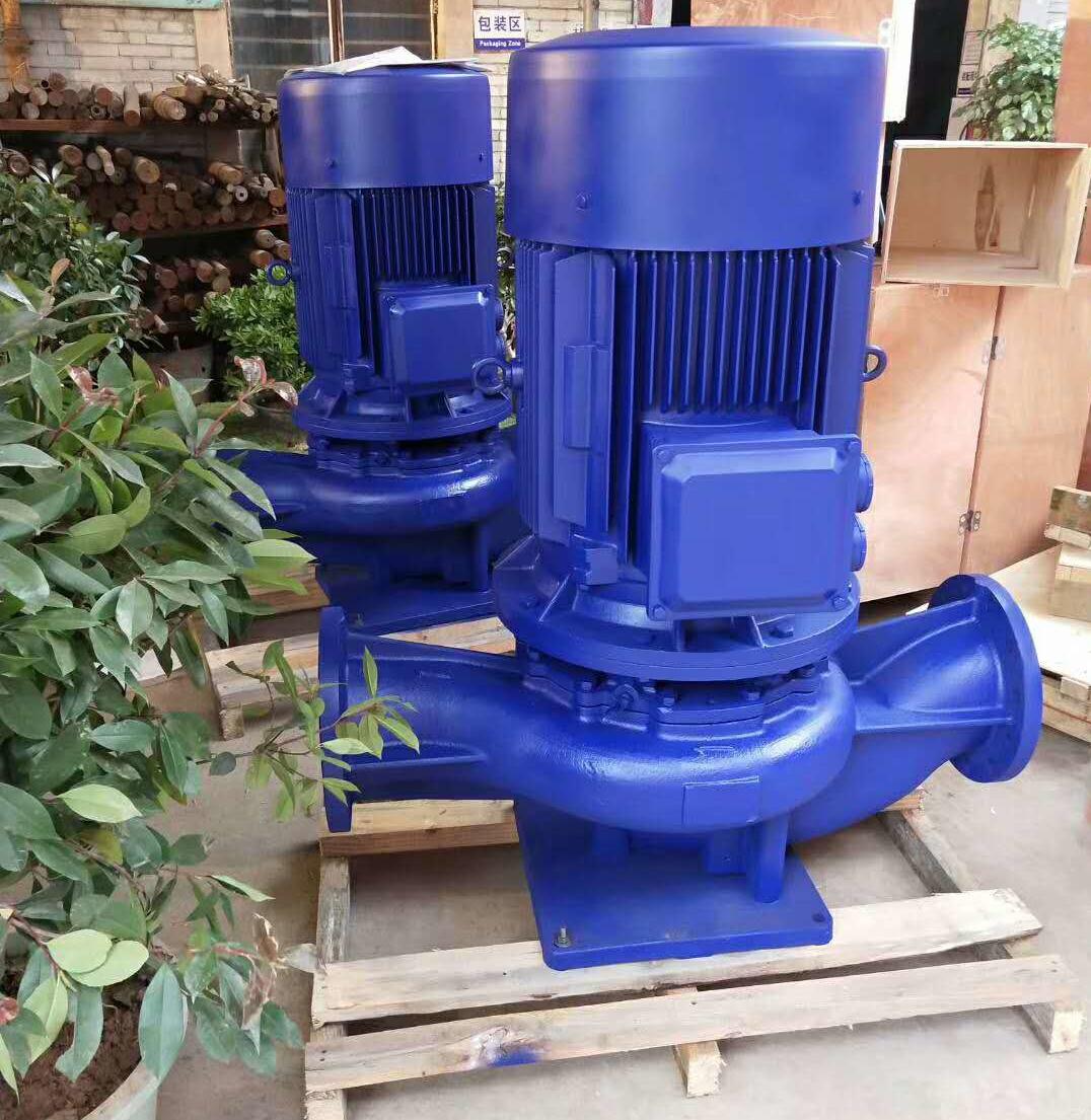 ISG100-200 22KW 提灌泵站用立式管道泵  铸铁材质