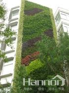 VerticalGreenWall