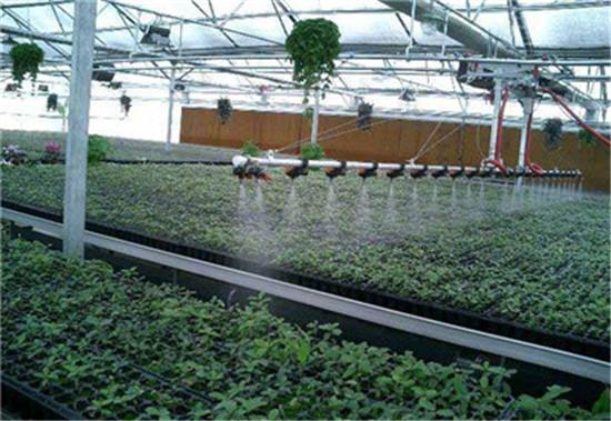 ​温室育苗移动喷灌机灌溉行业领先设备