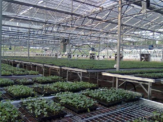 ​温室育苗移动喷灌机灌溉行业领先设备