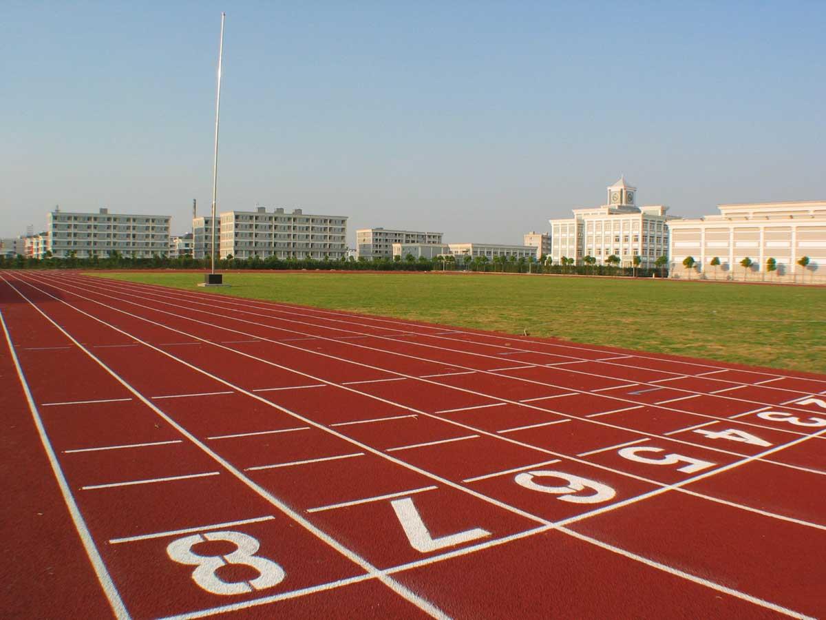 天津室外学校环保塑胶跑道施工-设计图案