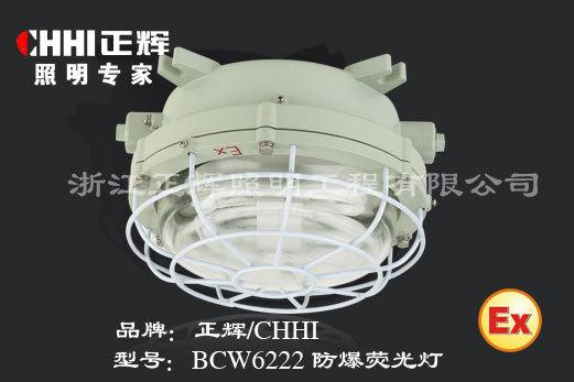 BCW6222防爆荧光灯