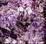 高端奢华石材 天然紫水晶材料 粉红水晶