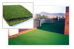 屋顶绿化草