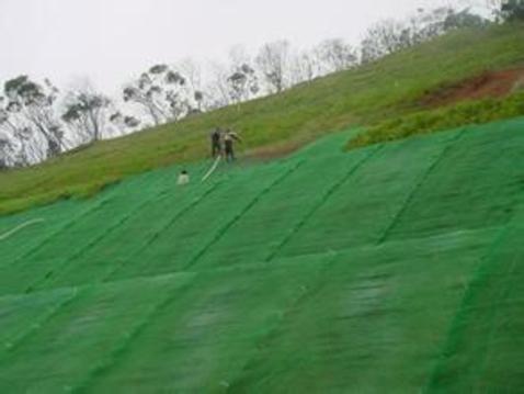 三维土工网垫边坡护坡种草专用