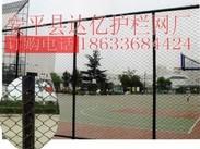 体育场防护网 篮球场围网|体育场围栏
