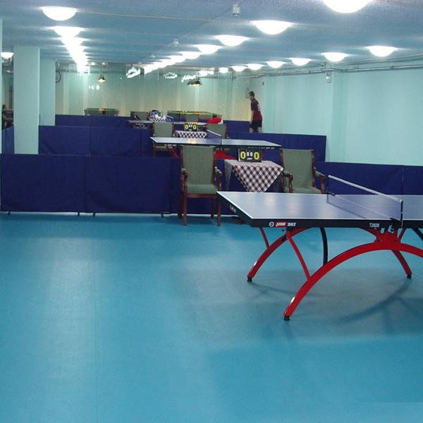 乒乓球运动专用地板,乒乓球馆专用地胶。乒乓球比赛专用塑胶地胶。乒乓球专用塑胶地板