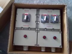 检修配电箱BXX51-2防爆配电箱尺寸
