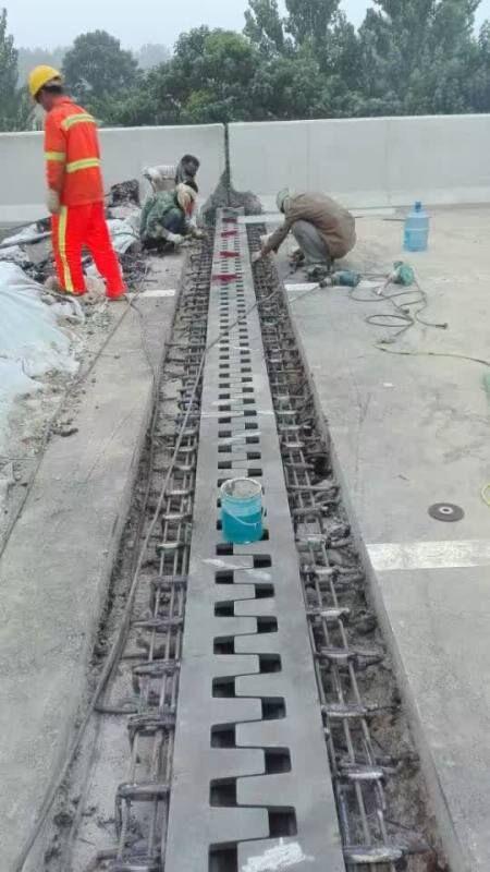 喀什市GQF-D40型桥梁伸缩缝