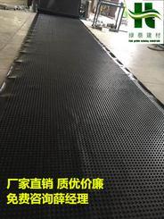 青岛塑料凸板排水板/高度20mm排水板
