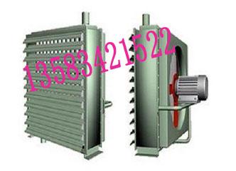 SDR3-9型电暖风机耐高温 防腐蚀