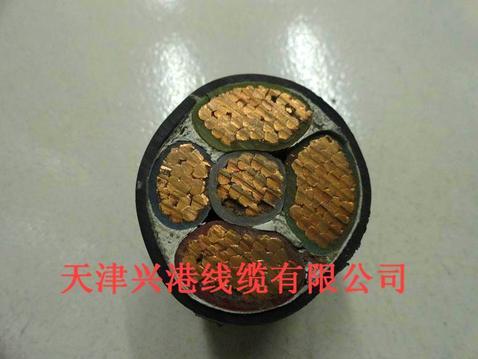 天津电线电缆厂家供应电力电缆