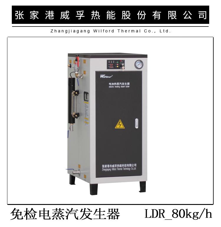 免检型电蒸汽发生器50-125Kg/h