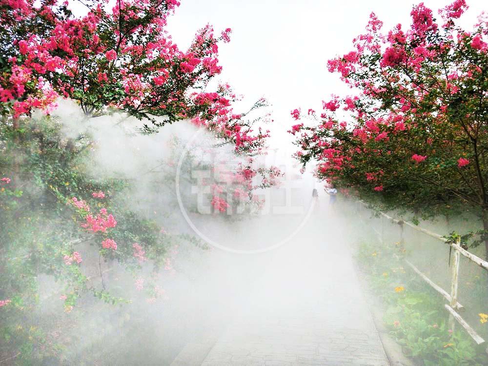 四川锦胜雾森 园林水景人造水雾 景区公园景观喷雾雾森设备