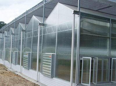 PC阳光板/温室大棚材料/屋顶采光