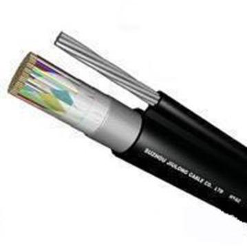 RS485总线电缆/RS485总线销售信息RS485总线电缆(保证质量）(全国免费送货）