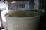 厂家供腌制桶-1立方野山椒腌制桶