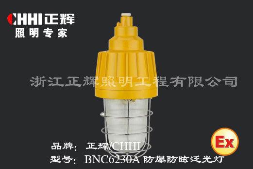 BNC6230A防爆防眩泛光灯