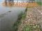 河道岸坡修复绿格网/拦河堤坝护坡绿格网/装碎石绿格网