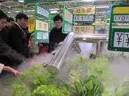 超市蔬菜水果喷雾保鲜喷淋系统设备