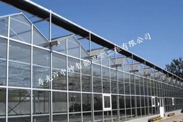 中国寿光市中坤温室育苗温室是全国*专业的