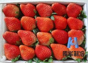 果蔬气调库-草莓冷藏库造价