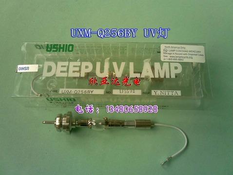 供应UXM-Q256BY，YMXL-U256BY，UV点光源
