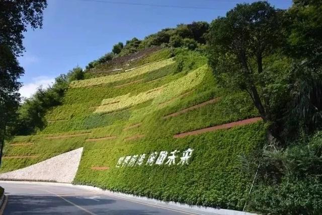 高陡边坡绿化石质边坡绿化绿化施工团队景绣绘远