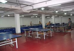 乒乓球地板。乒乓球PVC塑胶地板。北京乒乓球地板。乒乓球地板厂家