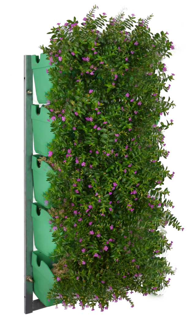 园艺绿化植物墙壁挂长方形花盆  塑料立体种植盆阳台种菜盆
